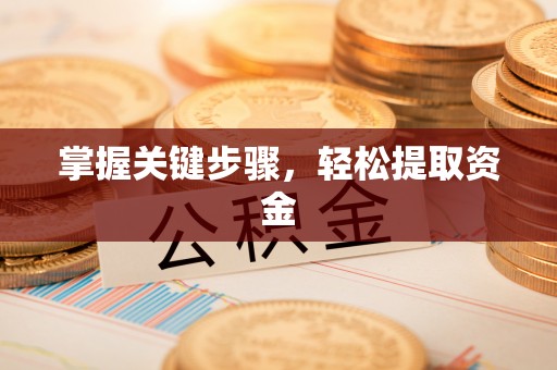 白水掌握关键步骤，轻松提取资金