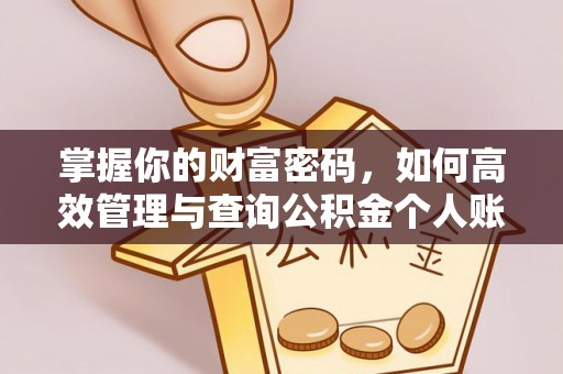 白水掌握你的财富密码，如何高效管理与查询公积金个人账户信息
