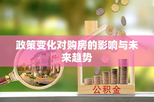 白水政策变化对购房的影响与未来趋势