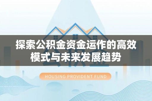 白水探索公积金资金运作的高效模式与未来发展趋势
