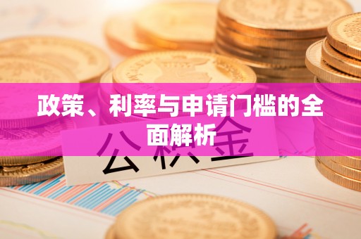 白水政策、利率与申请门槛的全面解析